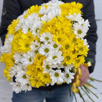 Букет из разноцветных хризантем - купить с доставкой в Красноармейске